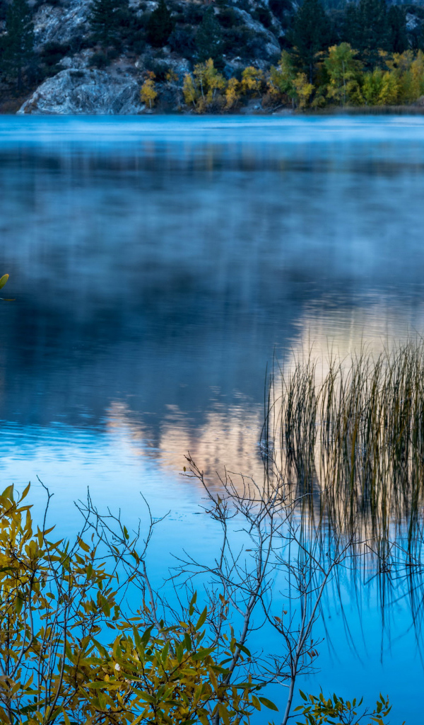 Утренний туман над горным озером, США