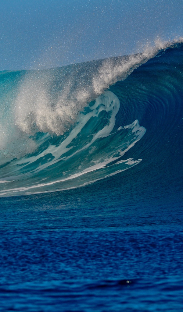 Высокая красивая волна в море