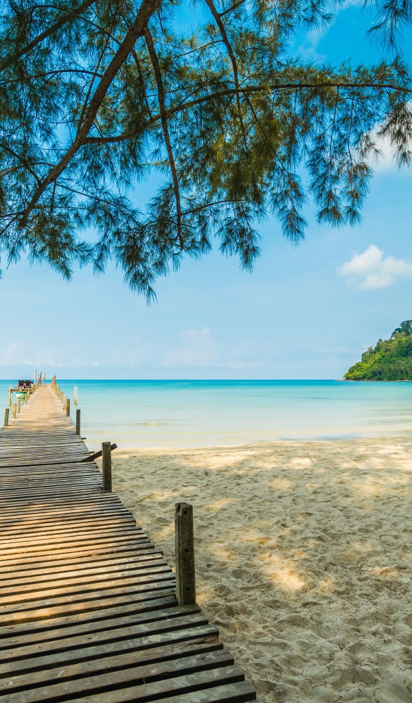 Деревянный мост под деревом в океане 