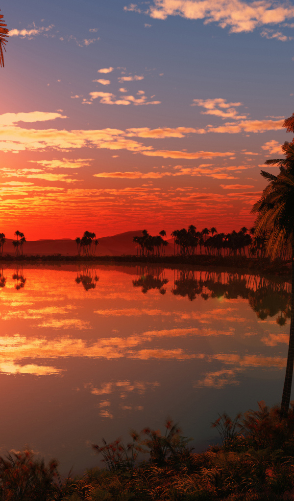 Красивый закат солнца на тропическом пляже