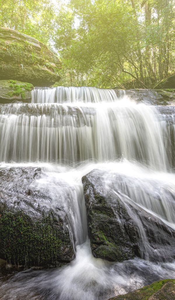 Лесной водопад стекает по камням