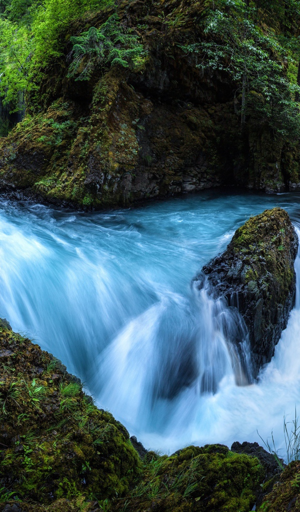Быстрый лесной водопад бежит по мокрым камням