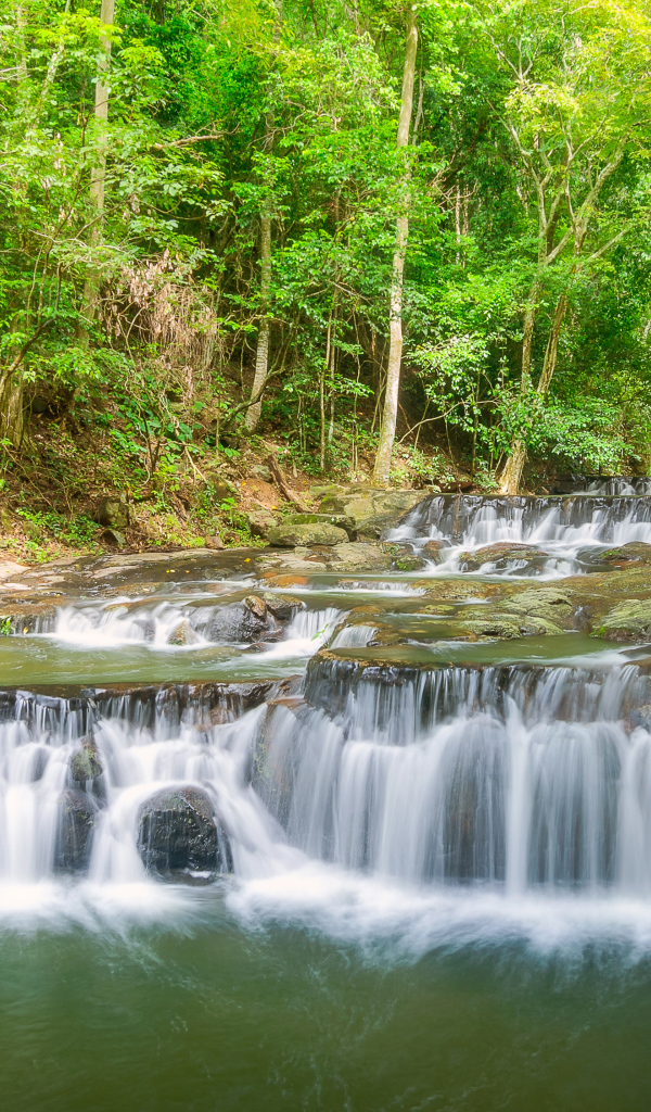 Быстрый лесной маленький водопад 