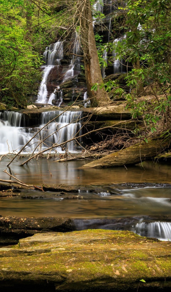 Водопад стекает по камням в лесу