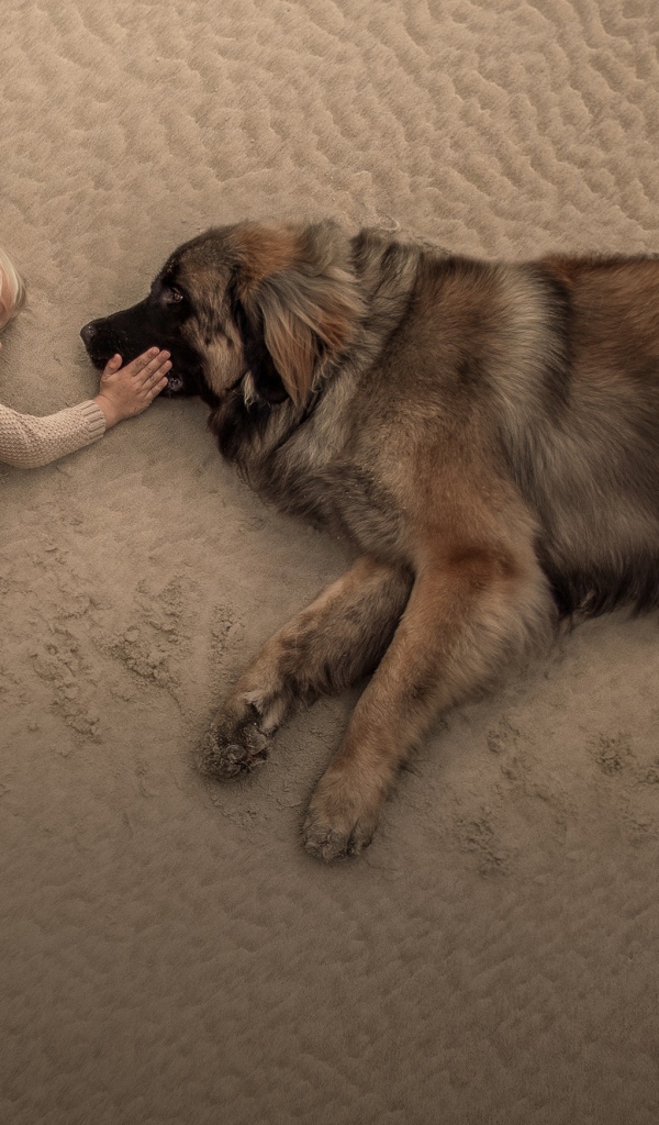 Маленький мальчик лежит на песке с большой собакой