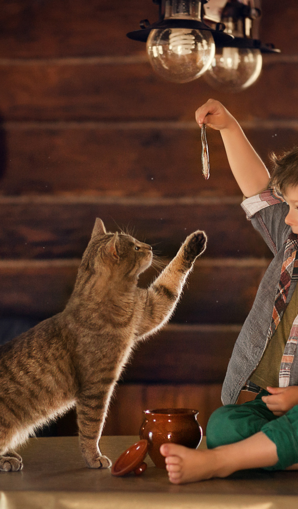 Маленький мальчик дразнит рыбой серого кота