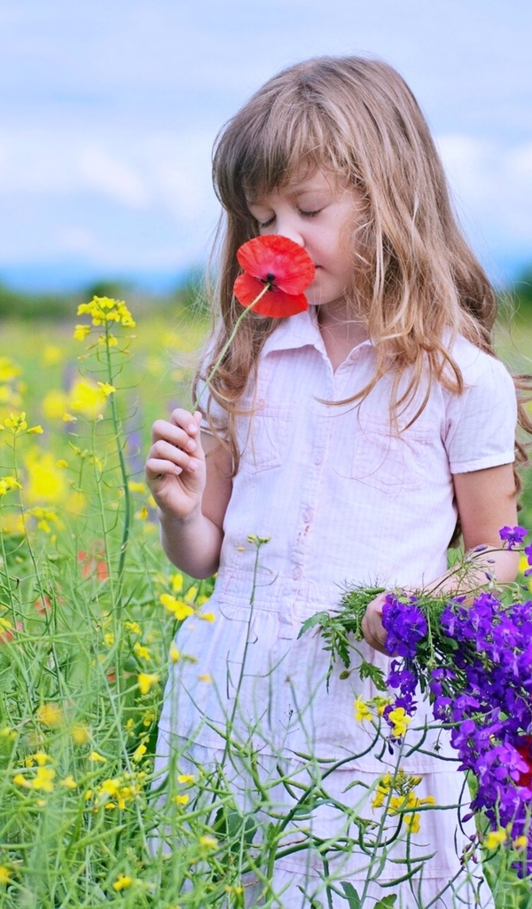 Маленькая девочка собирает на поле полевые цветы