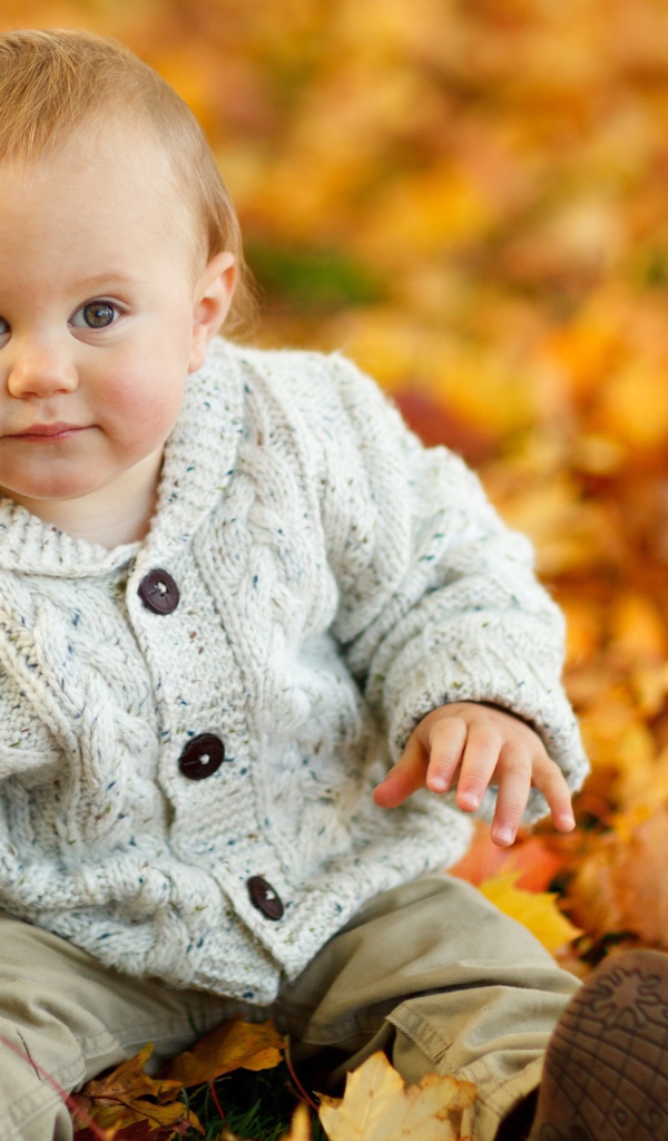 Маленький ребеной сидит на желтой опавшей листве осенью