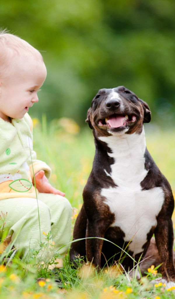Маленький ребенок сидит с довольной собакой
