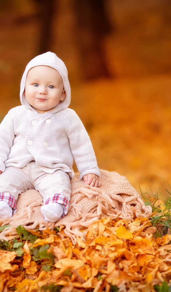 Маленький ребенок сидит на листве осенью 