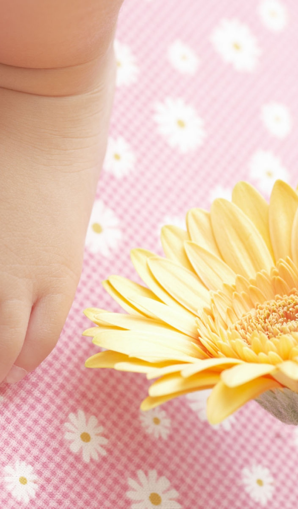 Маленькая ножка новорожденного с цветком герберы