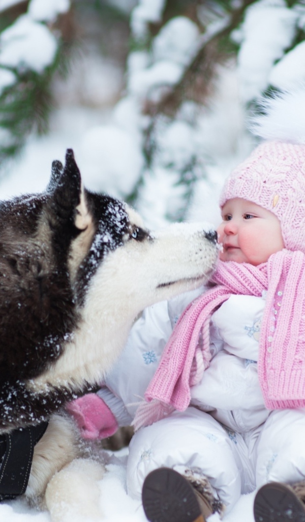 Грудной ребенок с собакой хаски на снегу