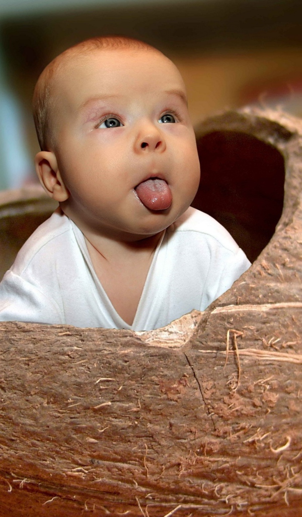 Прикольный ребенок сидит в кокосовом орехе