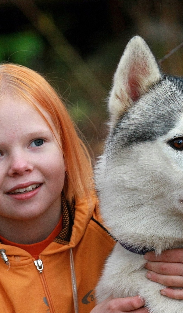 Маленькая рыжеволосая девочка с собакой породы хаски