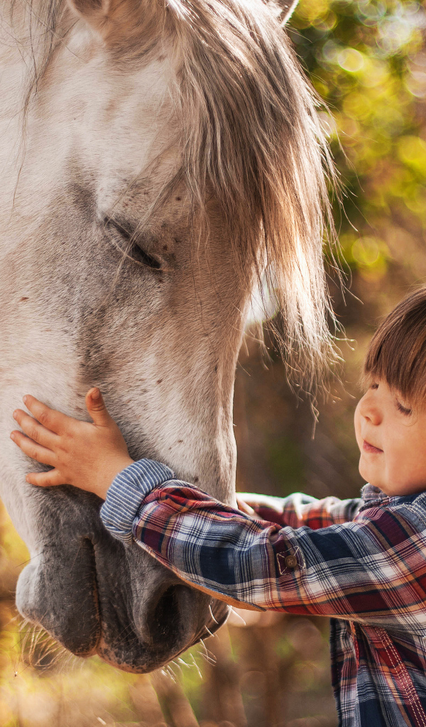 Маленький мальчик дружит с белой лошадью 