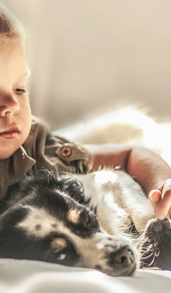 Маленький мальчик лежит с собакой и котом