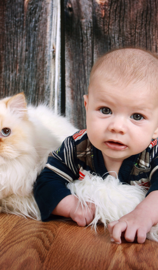 Маленький мальчик лежит на полу с котом 