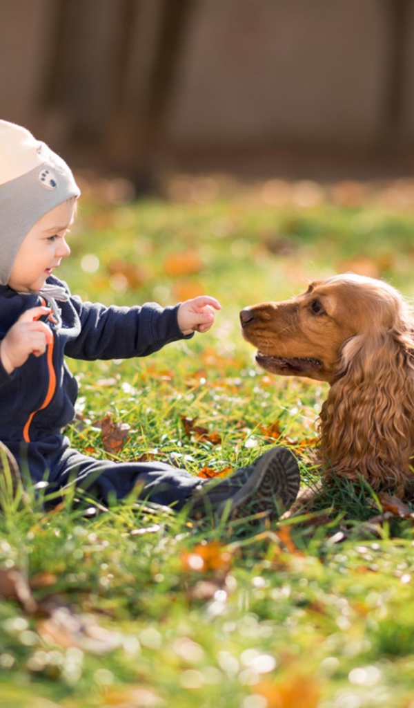 Маленький мальчик сидит на траве с собакой 