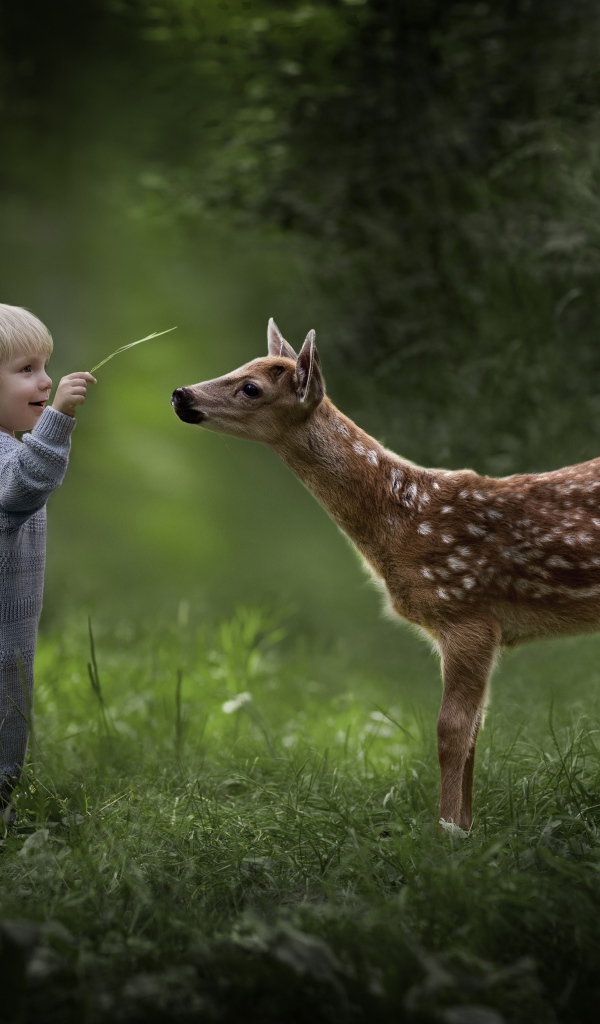 Маленький мальчик с оленем в лесу