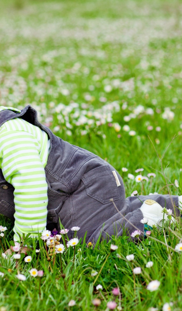 Маленький веселый мальчик на поляне с белыми цветами