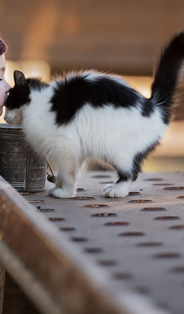 Маленькая девочка целует котенка 
