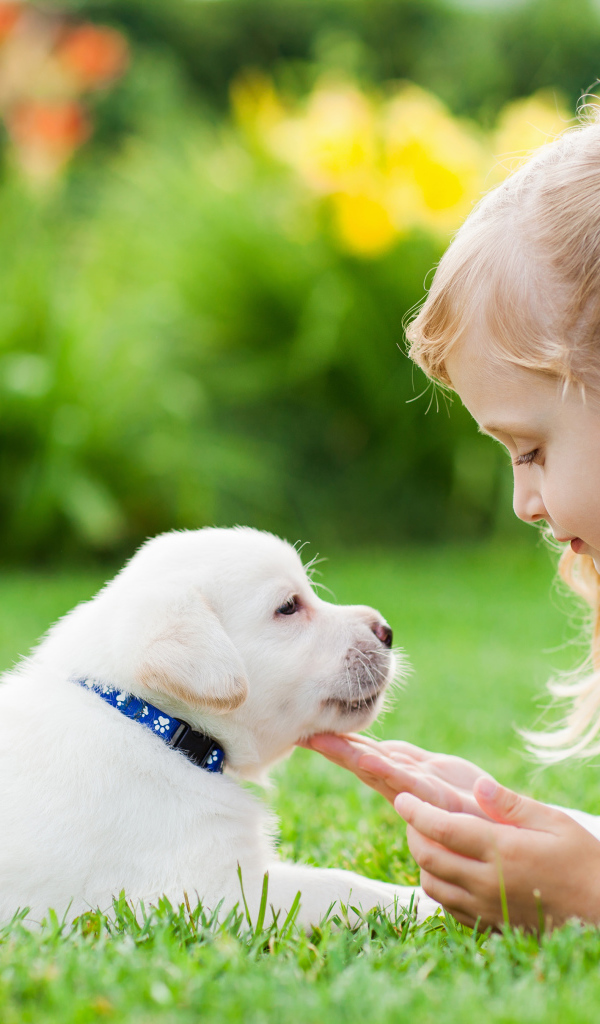 Маленькая девочка лежит на зеленой траве с щенком золотистого ретривера