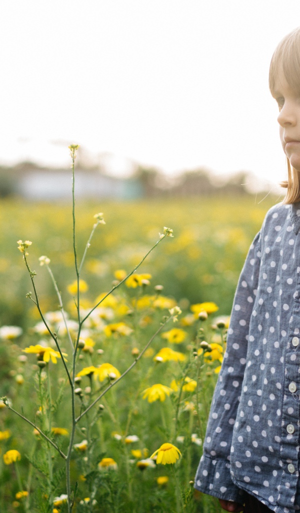 Маленькая девочка на поле с желтыми полевыми цветами