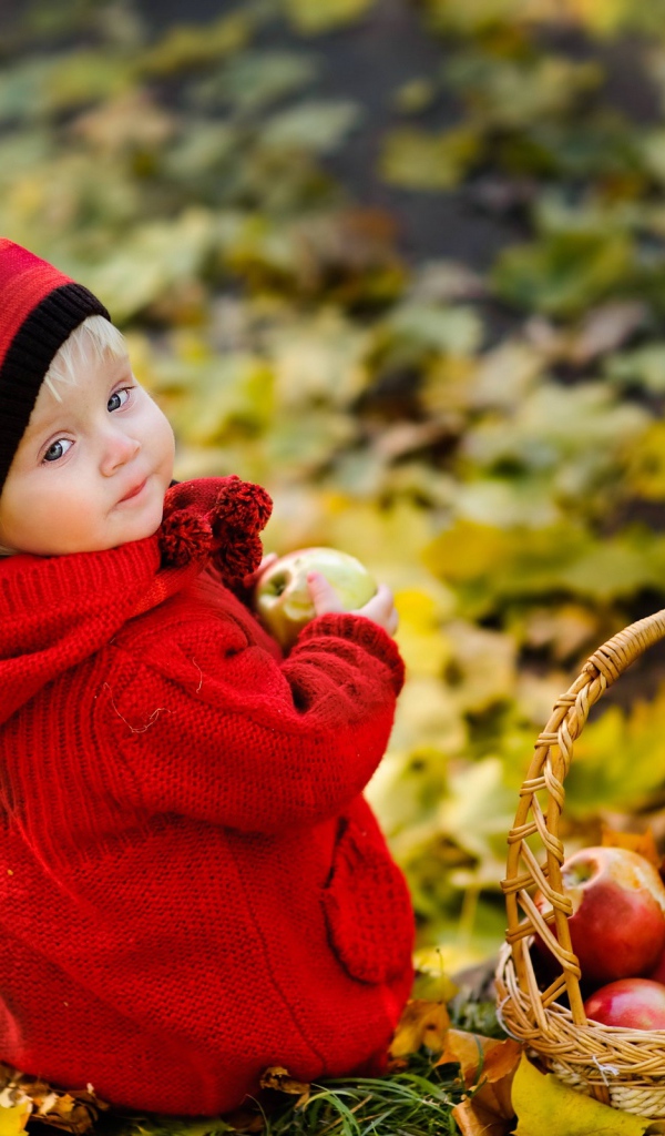 Маленькая девочка с корзиной яблок осенью