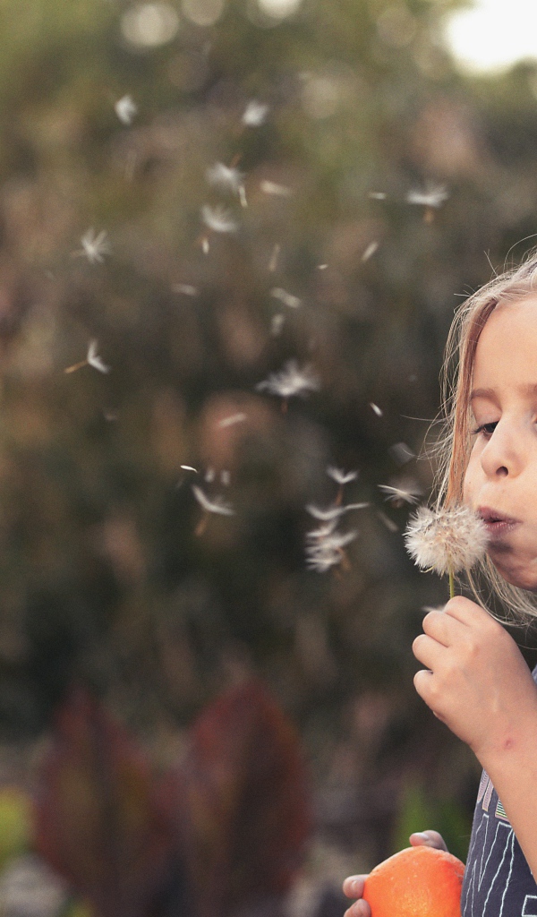 Маленькая девочка с одуванчиком в руках 