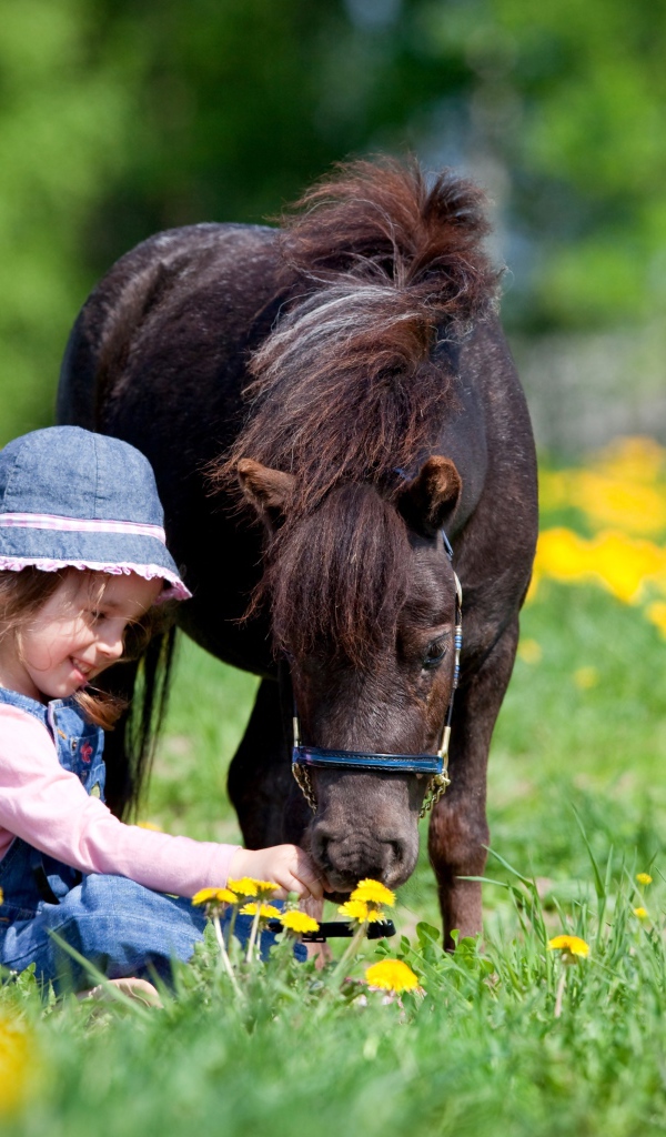 Маленькая девочка с пони сидит на поле с одуванчиками