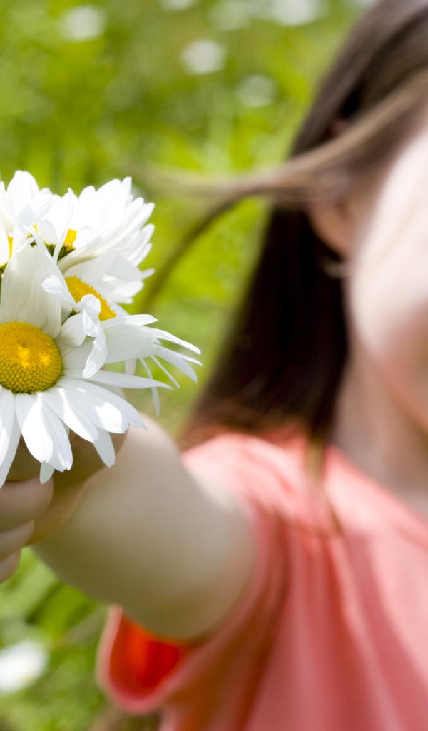 Маленькая девочка с ромашками в руке