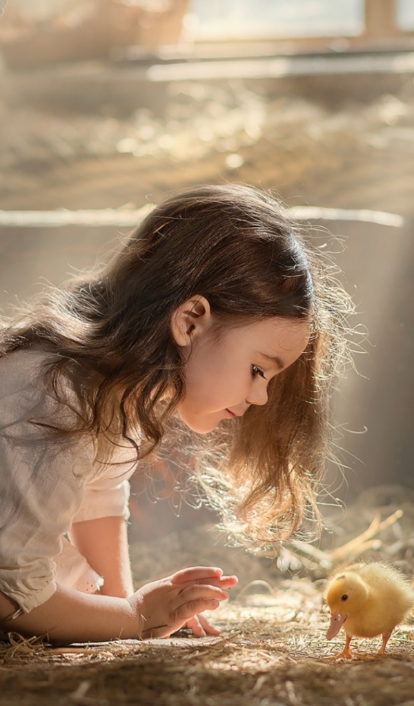 Маленькая девочка с утятами в сарае 