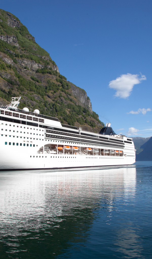 Большой круизный лайнер в заливе