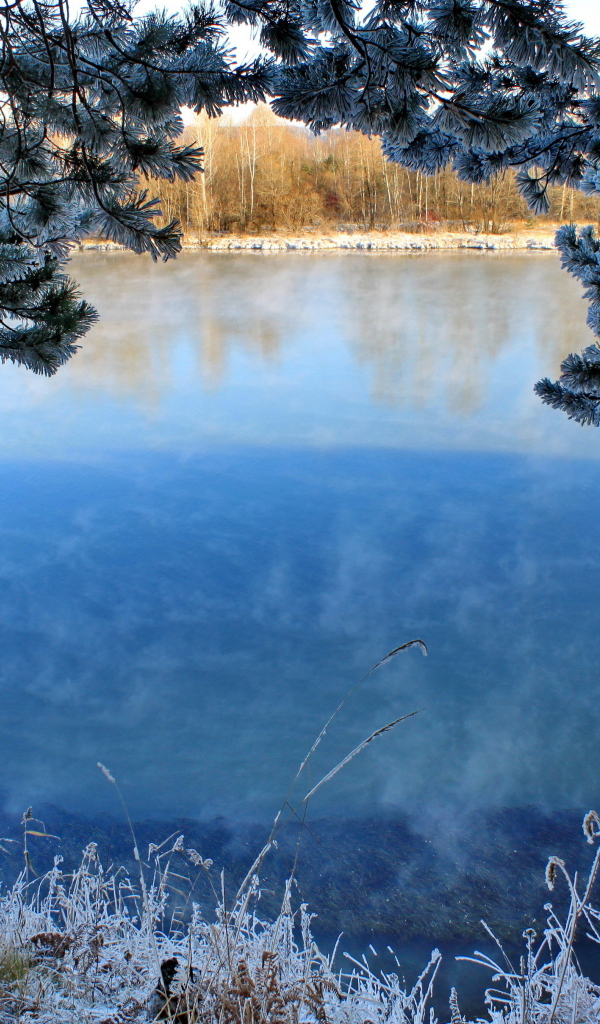 Вид через покрытые инеем ветки на зимнее озеро