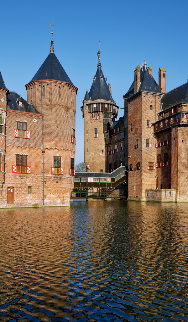 Чистая вода в пруду у замка De Haar, Нидерланды