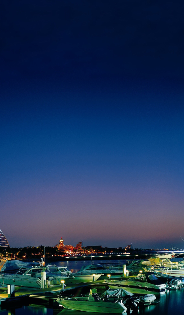 Панорама ночного города Дубай, ОАЭ