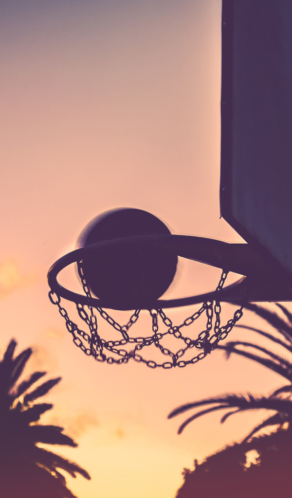 Basketball hoop with sunset