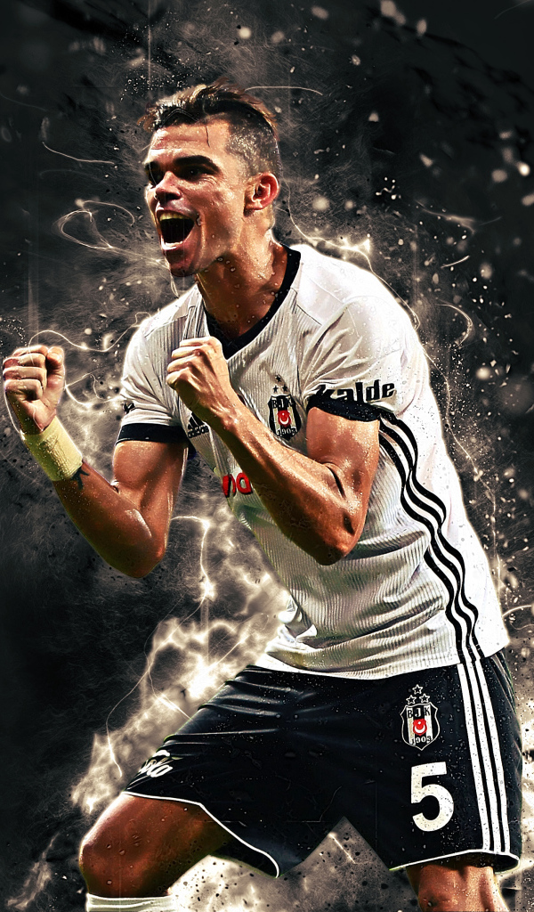 Португальский футболист Пепе радуется победе