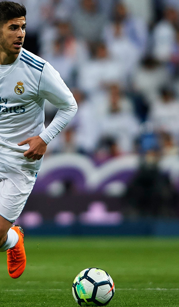 Испанский футболист, полузащитник ФК Реал Мадрид Марко Асенсио