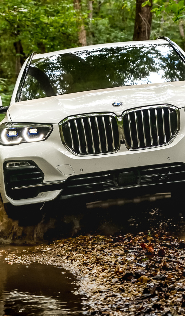 Внедорожник BMW X5 XDrive40i 2018 года едет по воде в лесу