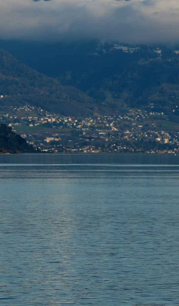 Большой белый лебедь в воде на фоне гор 