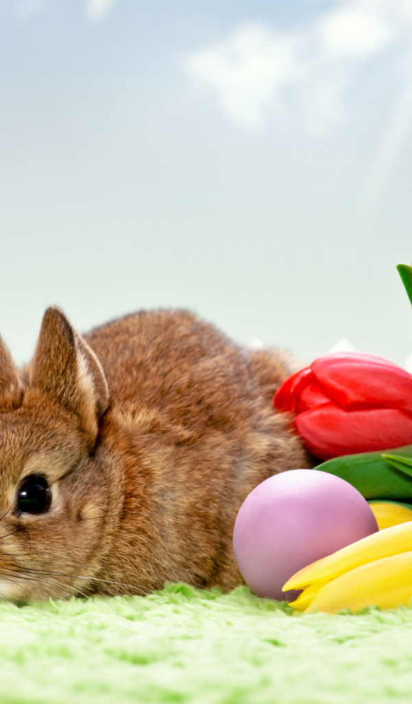 Серый декоративный кролик с букетом тюльпанов и яйцами 