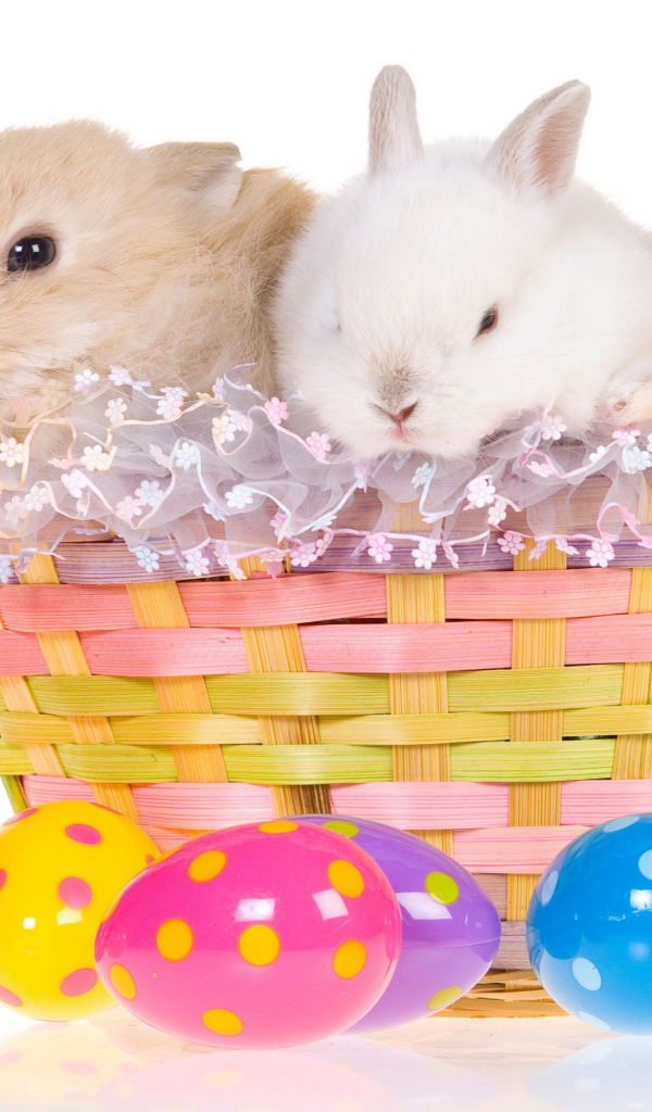 Три маленьких декоративных кролика в корзине на белом фоне с пасхальными яйцами