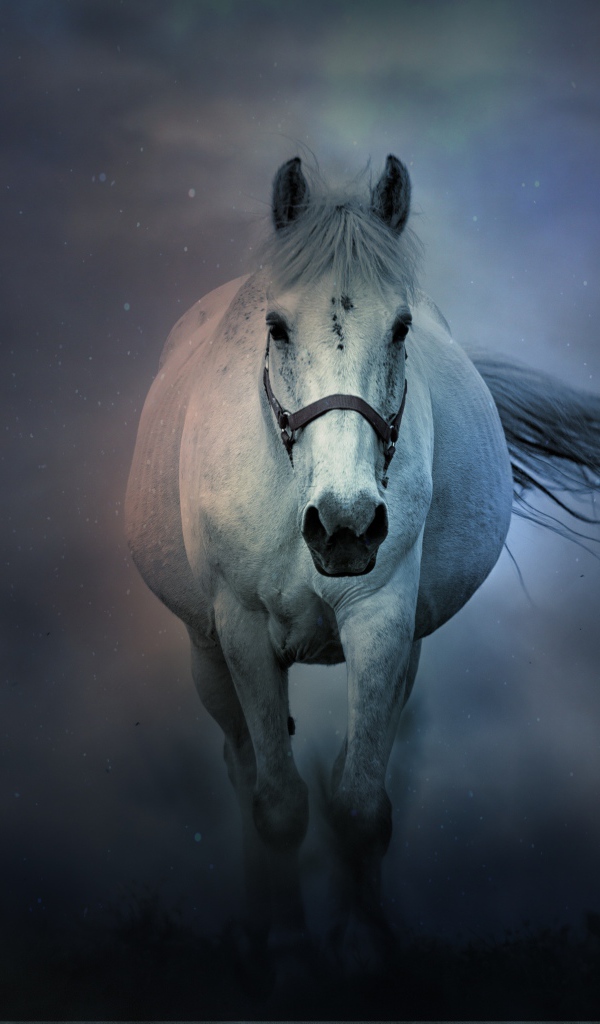 Большая белая лошадь бежит в тумане
