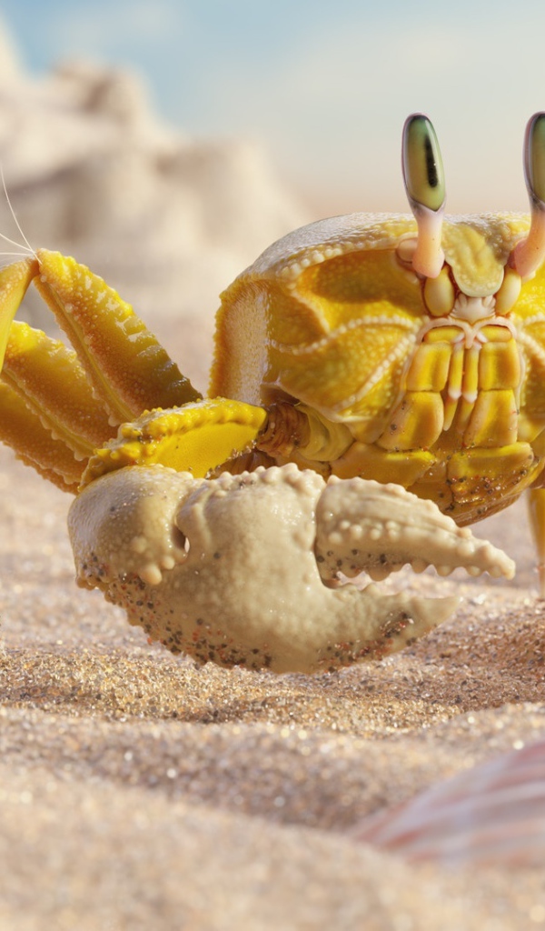 Yellow crab on white sand with shells