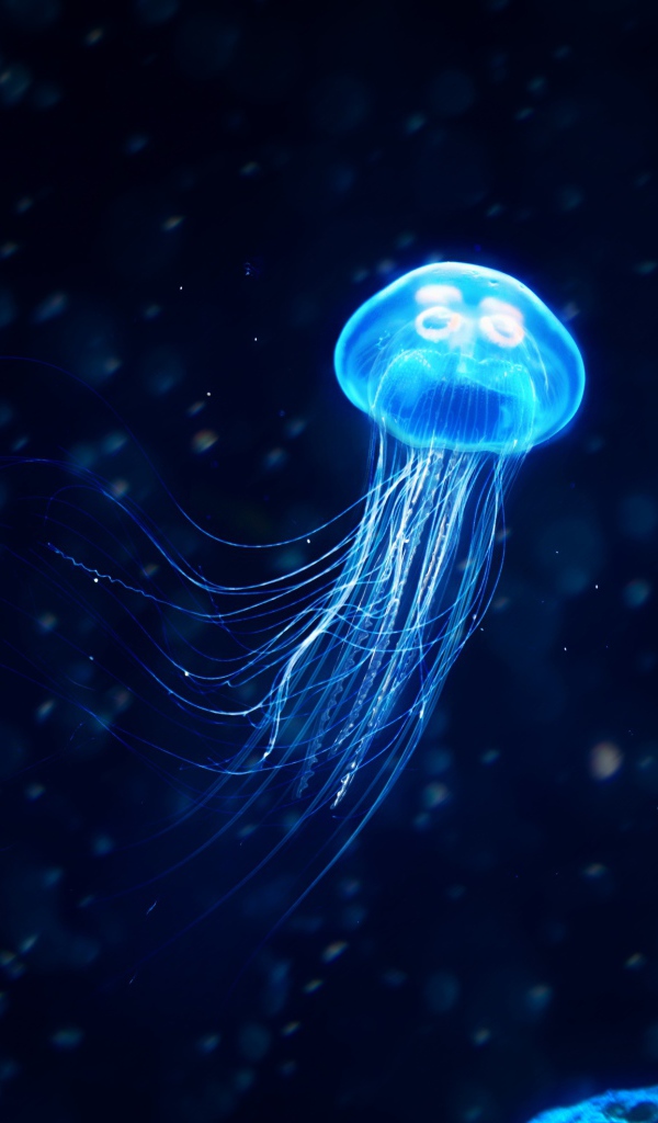 Неоновая медуза под водой 