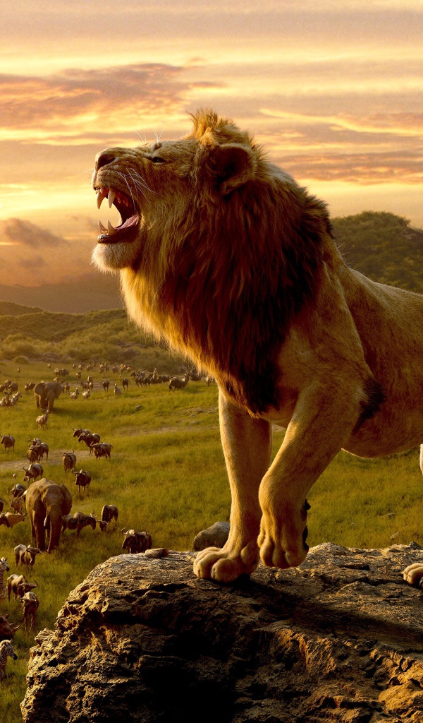 Большой грозный лев на скале 