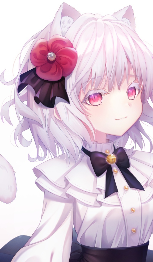 Девушка кошка аниме с цветком в волосах 