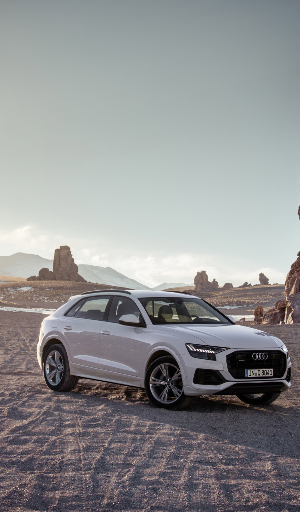 Внедорожник Audi Q8 стоит на песке на фоне скалы 