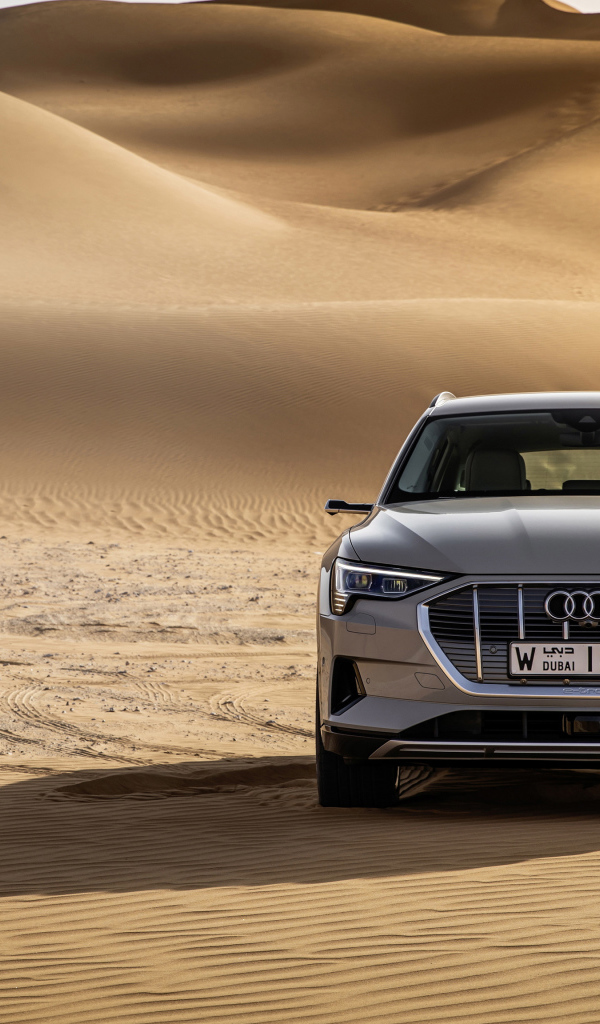 Серебристый автомобиль Audi E-Tron 55 Quattro 2019 года в пустыни